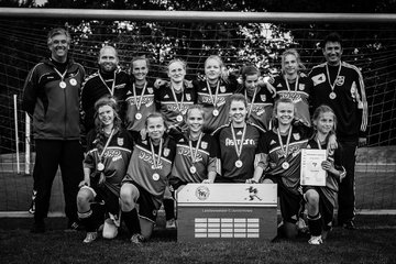 Bild 3536 - C-Juniorinnen Landesmeister Finale SV Wahlstedt - TuRa Meldorf : Ergebnis: 1:4